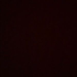 Meet your Posher, Irma